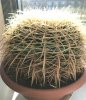 Schermafbeelding 2020-03-30 om 15.05.10kopie.jpg