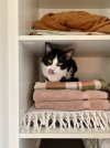 IMG_9826 normaal.jpeg