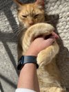IMG_9533 normaal.jpeg