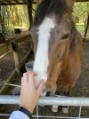 IMG_8935 normaal.jpeg