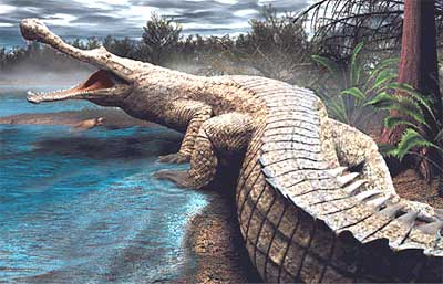 Prehistoric-croc.jpg