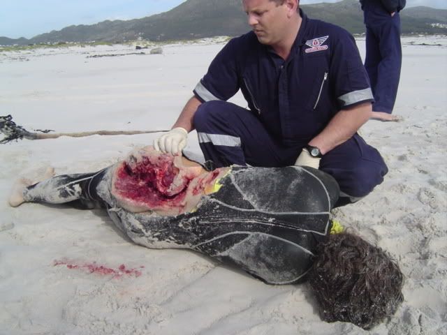 sharkATTACK1.jpg