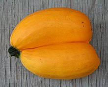 220px-TwinZucchini.jpg