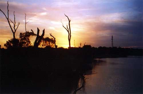 VIC-mildura3.jpg