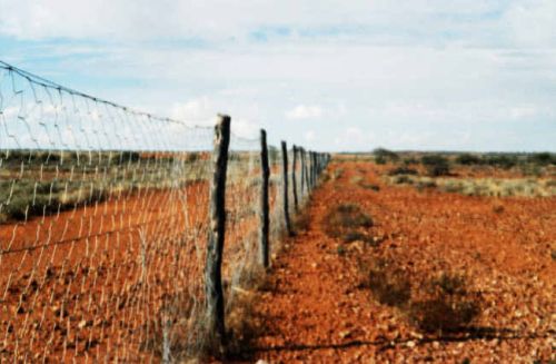 1110%20Dog%20Fence.jpg