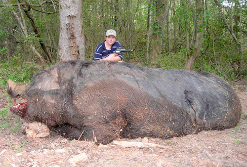 hogzilla-6-1-07.jpg