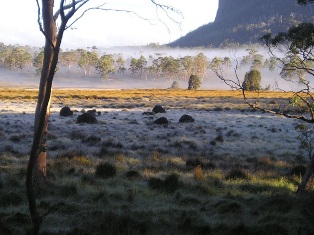 overland_track_small.jpg