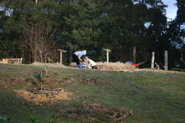 17-08-08+163636B.jpg