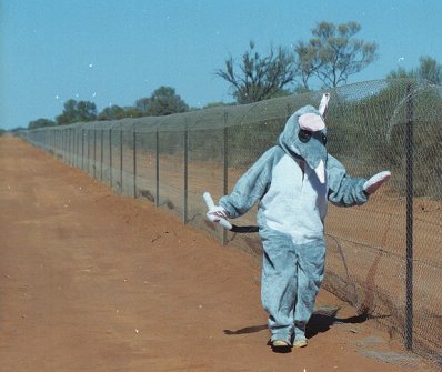 c_fence_bilby.jpg