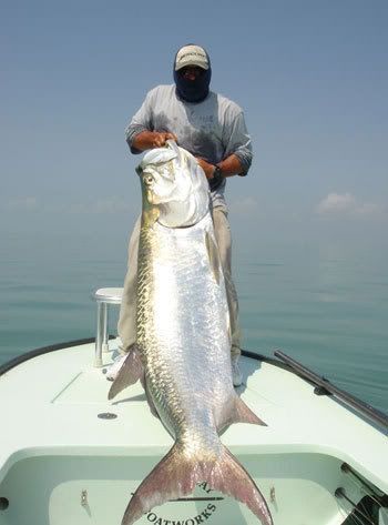 joe_rodriguez_tarpon350.jpg